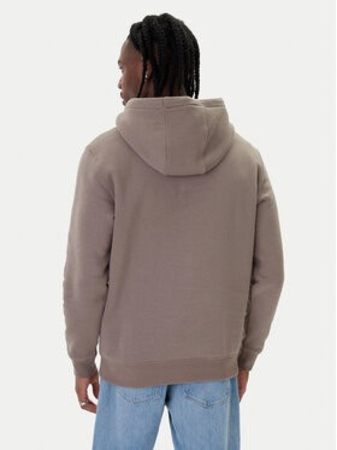 Tommy Jeans Bluza DM0DM20742 Szary Regular Fit