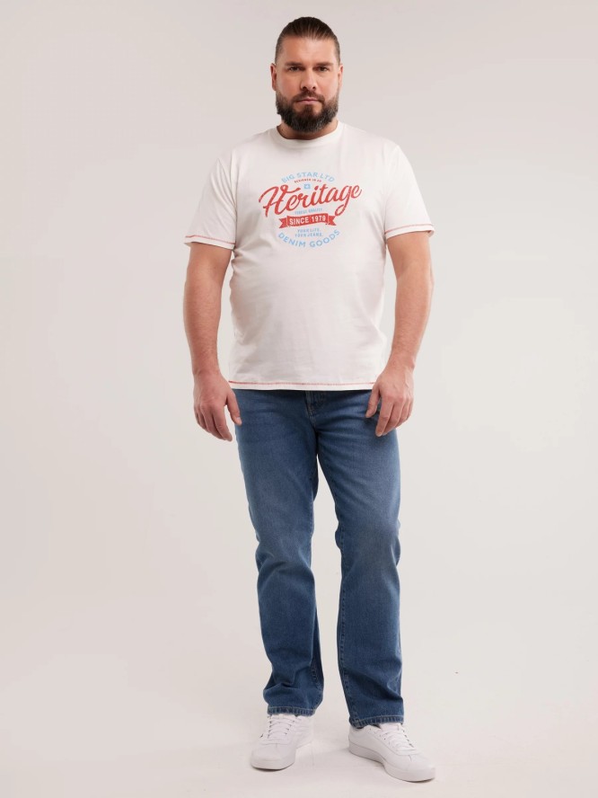 Jeansy męskie proste niebieskie Trent 436