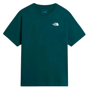 T-Shirt The North Face M Evo Box Nse Reg Ss T Dorośli