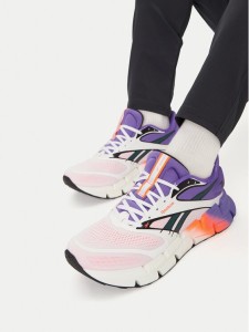 Reebok Buty do biegania EOSB-FLOATZIG 2 100225499 Kolorowy