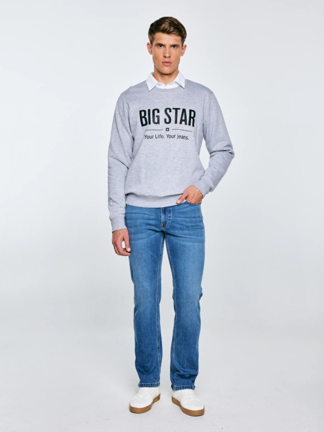 Bluza męska z nadrukiem szara Ecodort 901