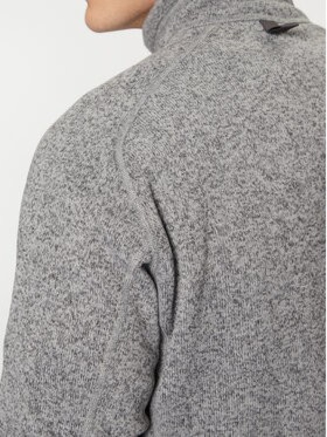 Haglöfs Polar Risberg 607382 Szary Standard Fit