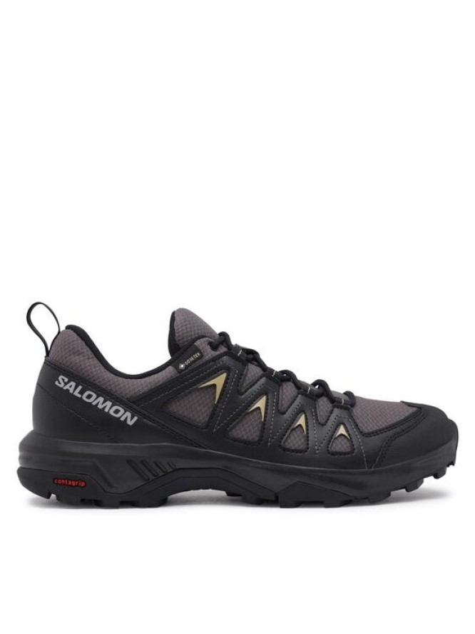 Salomon Trekkingi X Braze GORE-TEX L47180500 Szary