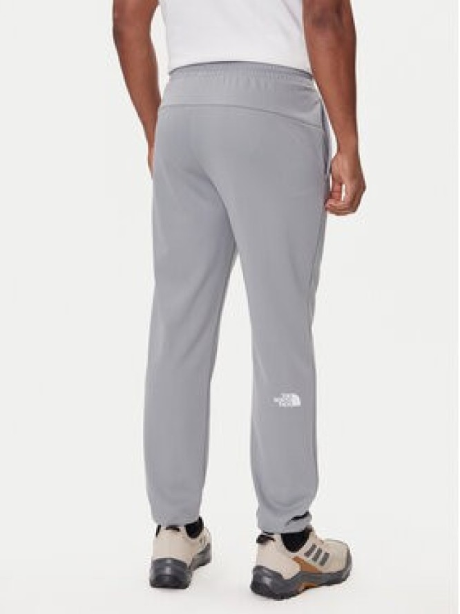 The North Face Spodnie dresowe Reaxion 2.0 NF0A8DRS Szary Regular Fit