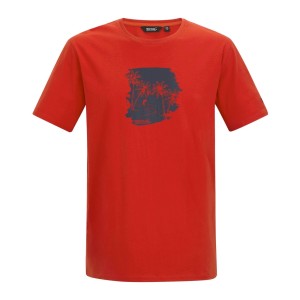 Męska Koszulka Cline IX Beach Glider T-shirt