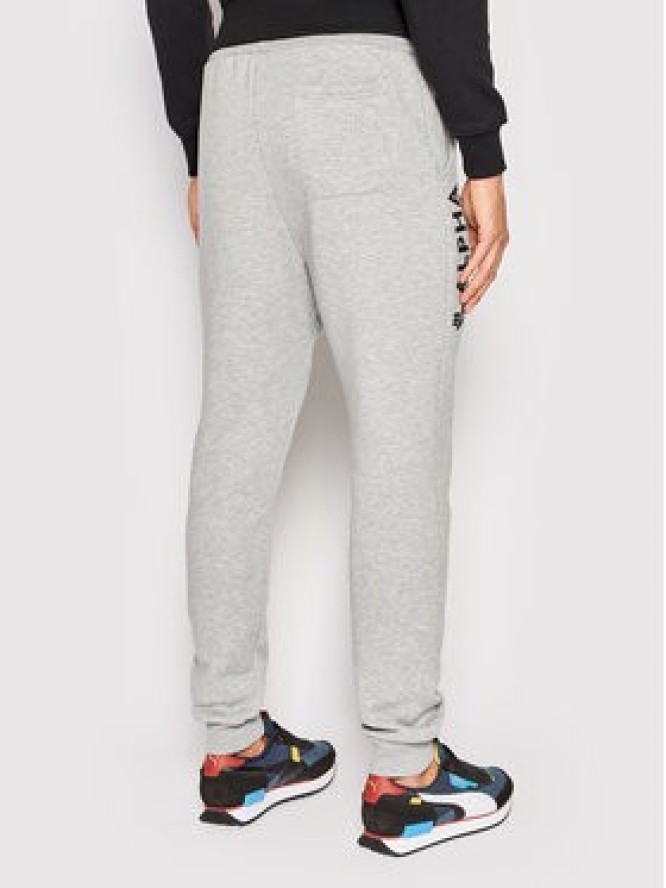 Alpha Industries Spodnie dresowe Basic 116368 Szary Regular Fit