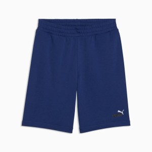 Spodenki sportowe męskie Puma ESS 2 COLOR NO.1 LOGO 10" TR