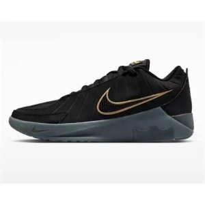 Buty koszykarskie męskie Nike HQ8034003