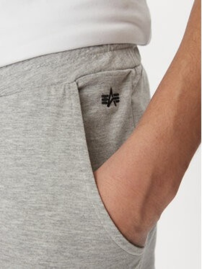 Alpha Industries Szorty sportowe 116366 Szary Regular Fit