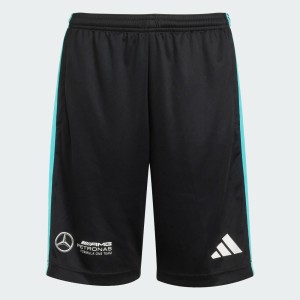 SZORTY MERCEDES - AMG PETRONAS FORMULA ONE TEAM DNA