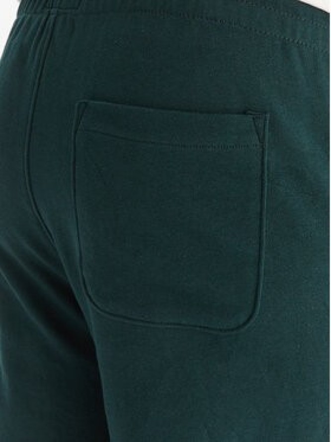 DC Shoes Spodnie dresowe ADYFB03072 GTP0 Zielony Regular Fit