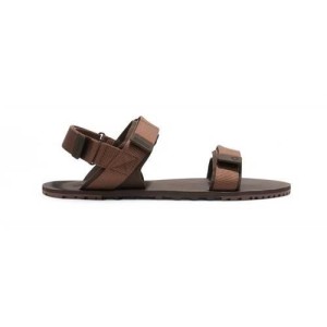 Buty do chodzenia męskie Xero Shoes D-trail