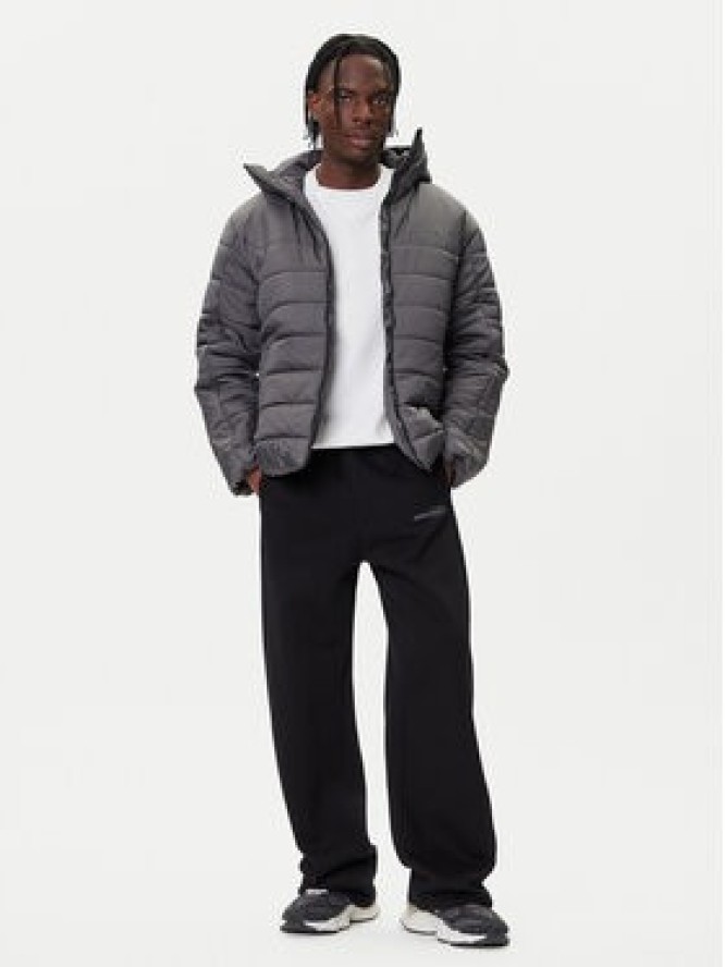 Puma Kurtka zimowa Ess 685211 44 Szary Regular Fit