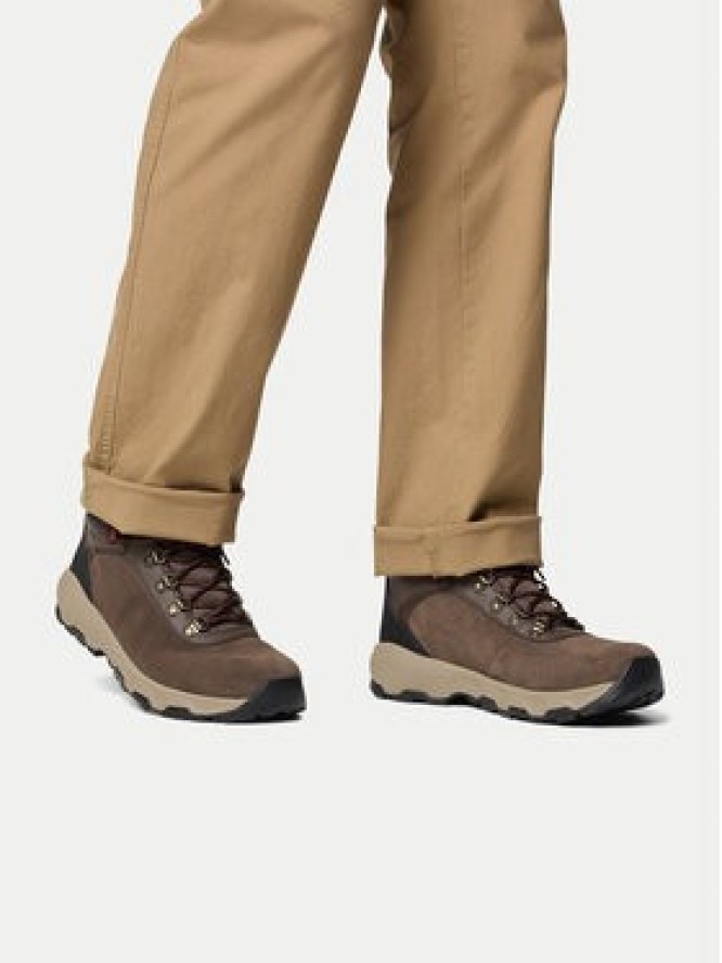 Columbia Trekkingi Newton Wander 2109441 Brązowy