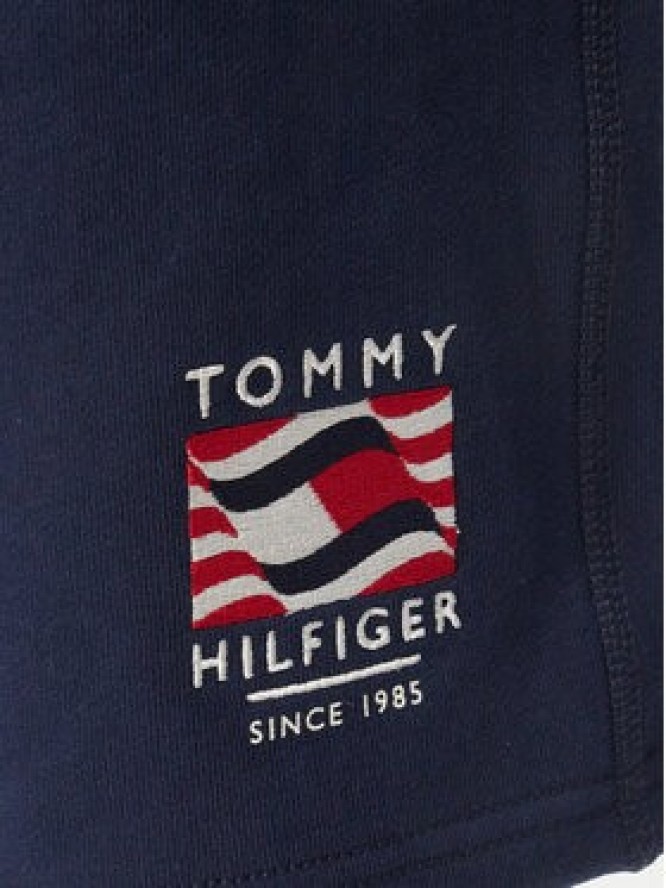 Tommy Hilfiger Szorty sportowe Rwb MW0MW43384 Granatowy Regular Fit