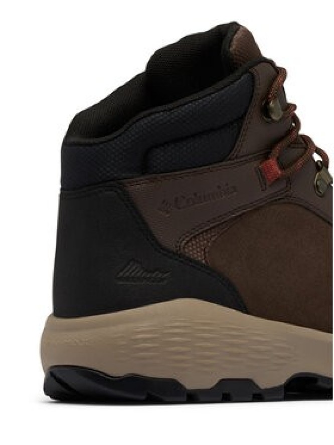 Columbia Trekkingi Newton Wander 2109441 Brązowy