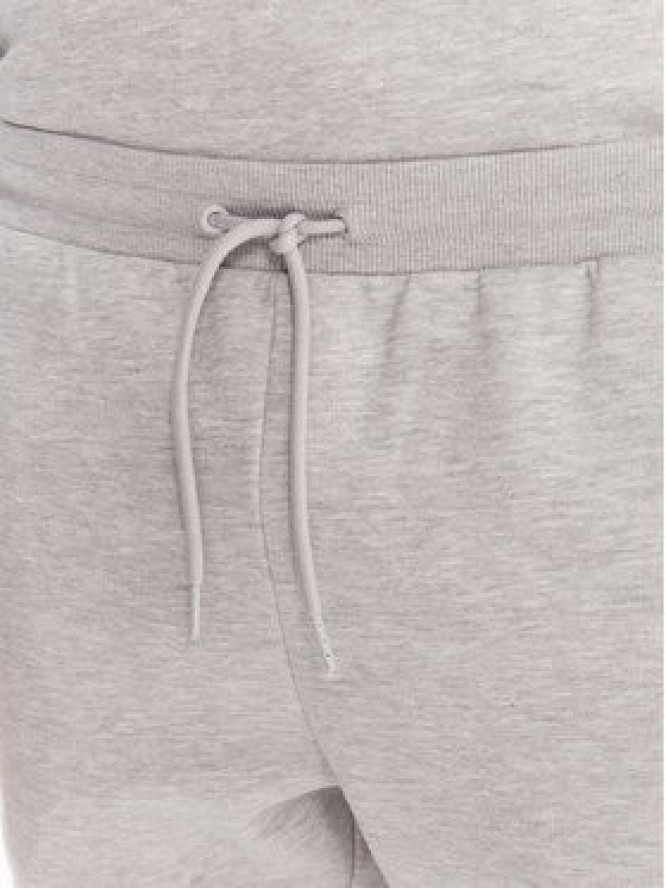 Reebok Spodnie dresowe RK25146CCM Szary Regular Fit