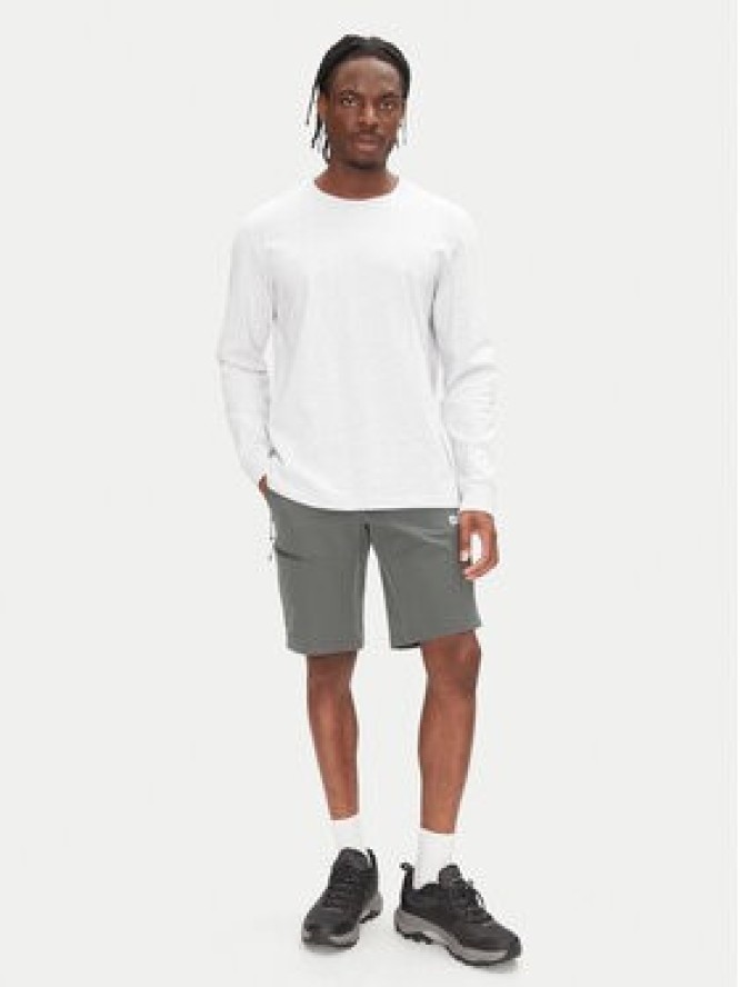 Jack Wolfskin Szorty sportowe Pico Trail A63908 Zielony Regular Fit