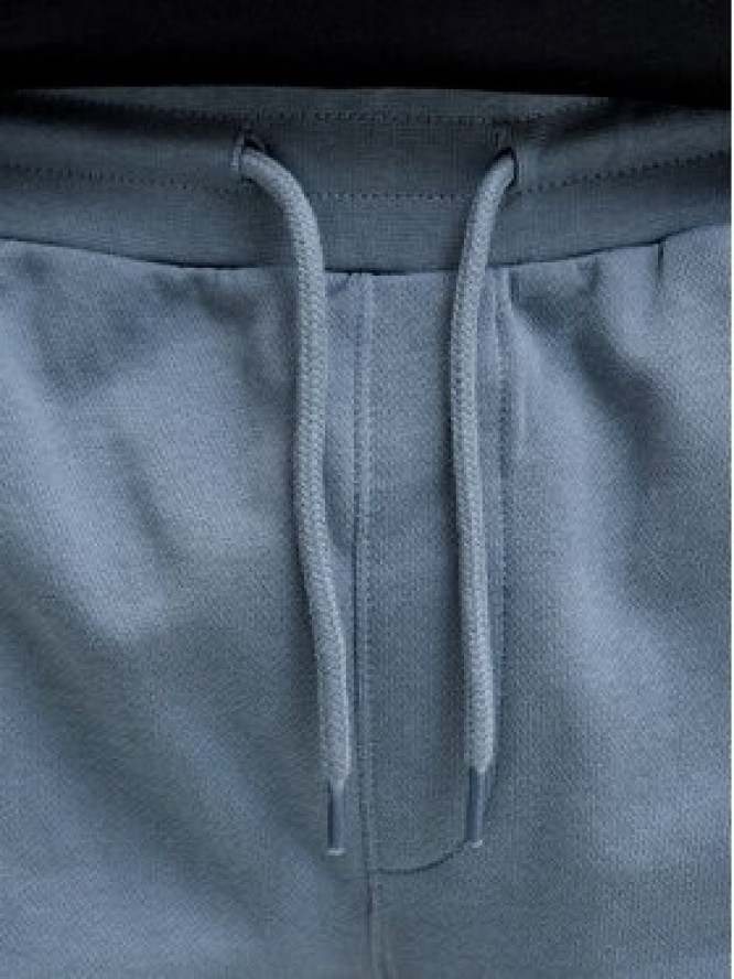 Jack & Jones Szorty sportowe Gordon 12288638 Niebieski Regular Fit