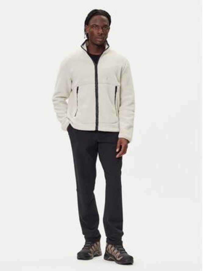 Jack Wolfskin Polar Stone Lite A64997 Beżowy Relaxed Fit