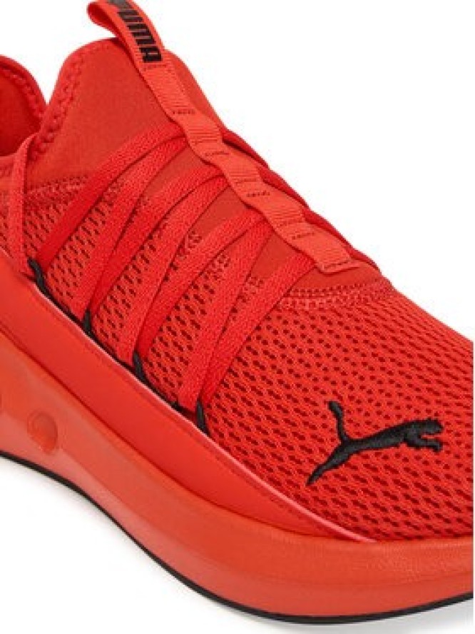 Puma Buty do biegania Softride Carson Fresh 310155 03 Czerwony