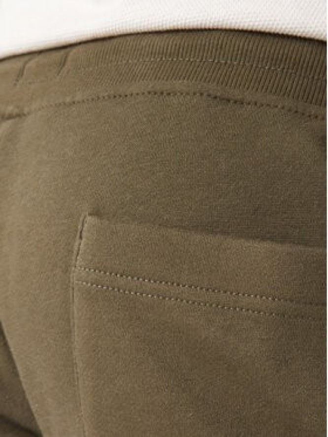 Tommy Jeans Spodnie dresowe DM0DM20473 Khaki Regular Fit
