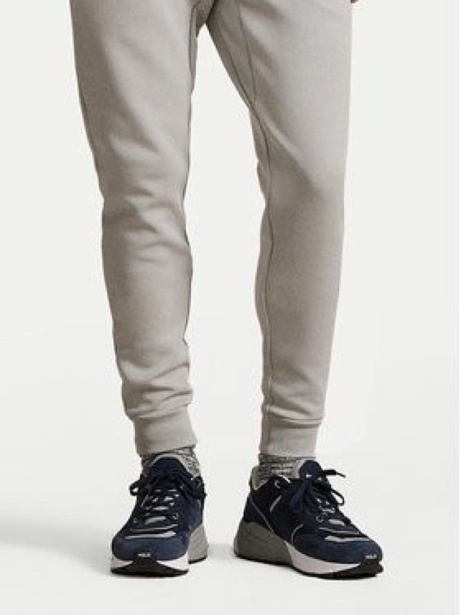 Polo Ralph Lauren Spodnie dresowe 710881518077 Szary jasny Regular Fit