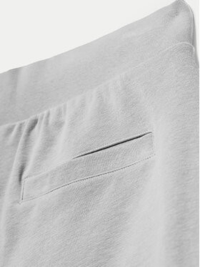 4F Szorty sportowe 4FWSS24TSHOM330 Szary Regular Fit