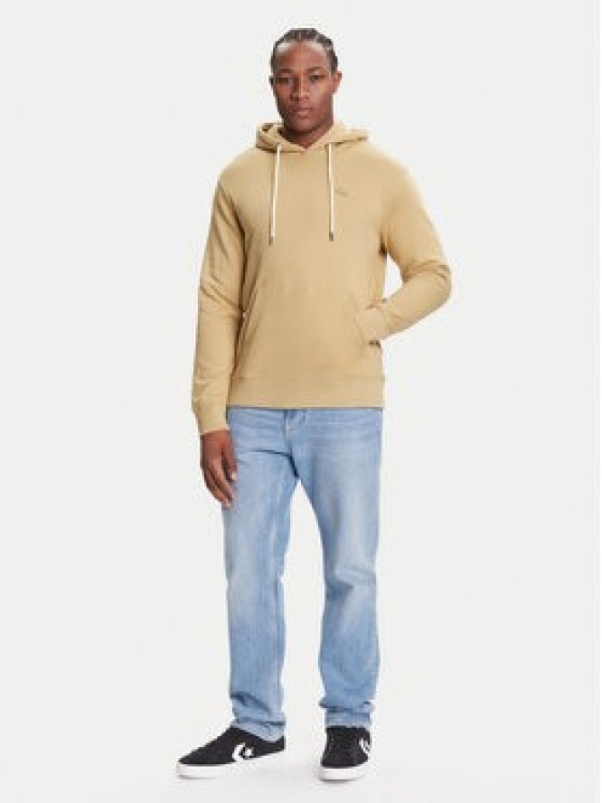 Quiksilver Bluza Salt Water Hoodie EQYFT05159 Beżowy Regular Fit