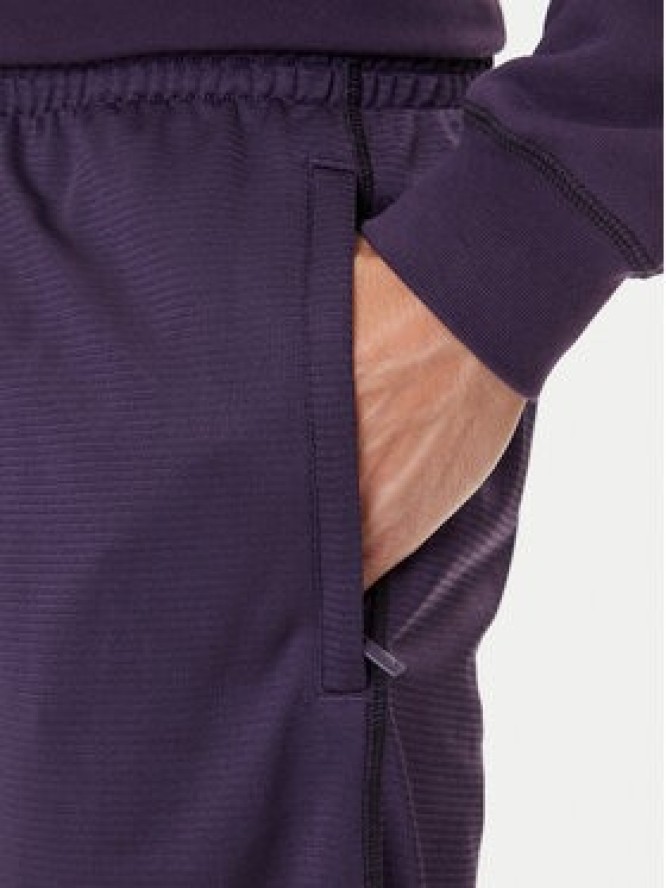 adidas Szorty sportowe Graphic Mesh JY2758 Fioletowy Loose Fit