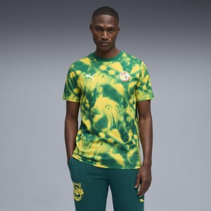 Męska koszulka Senegalu ftblCulture Printed PUMA