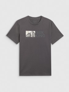 4F T-shirt regular z nadrukiem męski - szary 3XL