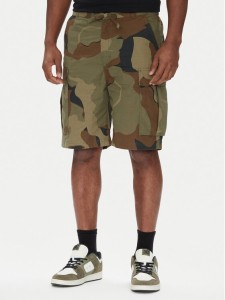 DC Shoes Szorty materiałowe Tundra ADYWS03086 Zielony Regular Fit