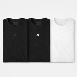 ZESTAW KOSZULEK MĘSKICH 4F T-SHIRT KOLECJA LIMITOWANA 3PAK S M3947 SS26
