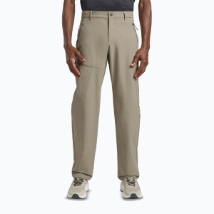 Spodnie trekkingowe męskie Jack Wolfskin Pico Trail