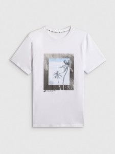 T-shirt regular z nadrukiem męski 4F 4FWSS26TTSHM3034