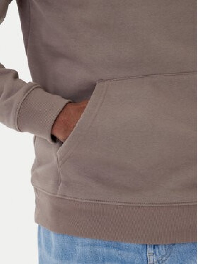 Tommy Jeans Bluza DM0DM20742 Szary Regular Fit