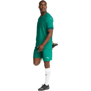 Spodenki męskie Puma Teamfinal Shorts