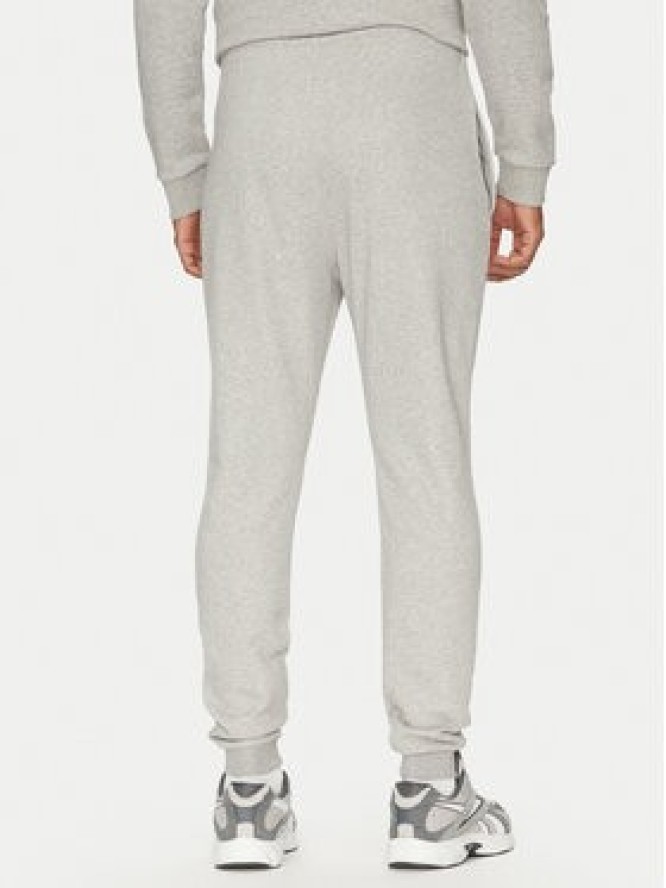 Reebok Spodnie dresowe 100221804 Szary Regular Fit