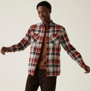 Koszula turystyczna męska Regatta Thamos z długim rękawem