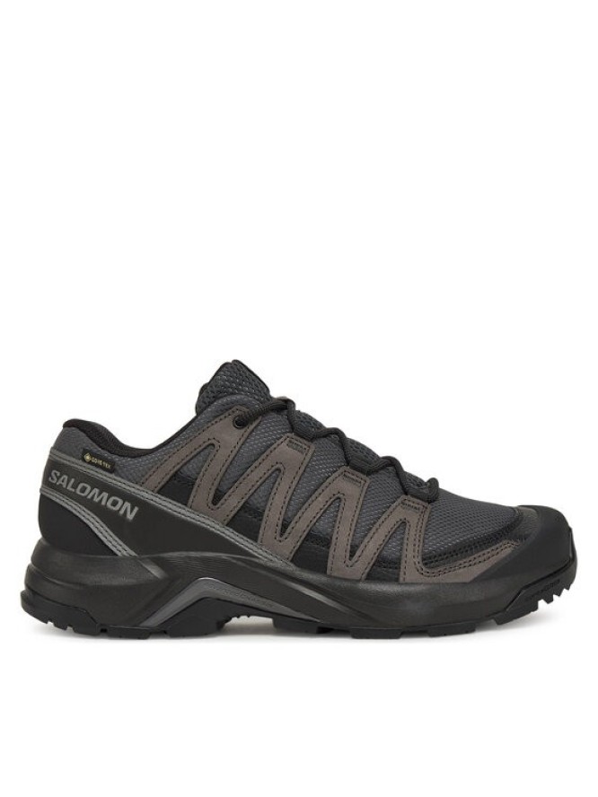 Salomon Trekkingi X-Adventure Recon Gore Tex L47809200 Szary