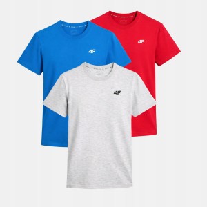 KOMPLET KOSZULEK MĘSKICH 4F ZESTAW 3PAK T-SHIRT TTSHM3341