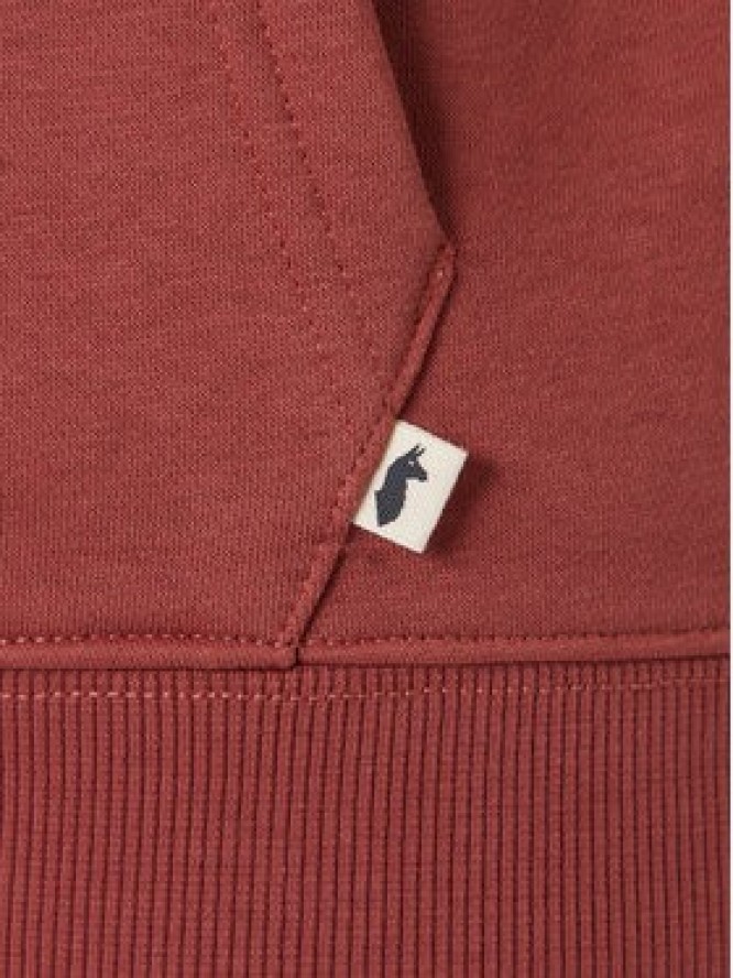 Cotopaxi Bluza Llama Patch Pullover Hoodie F24474M1161 Miedziany Regular Fit