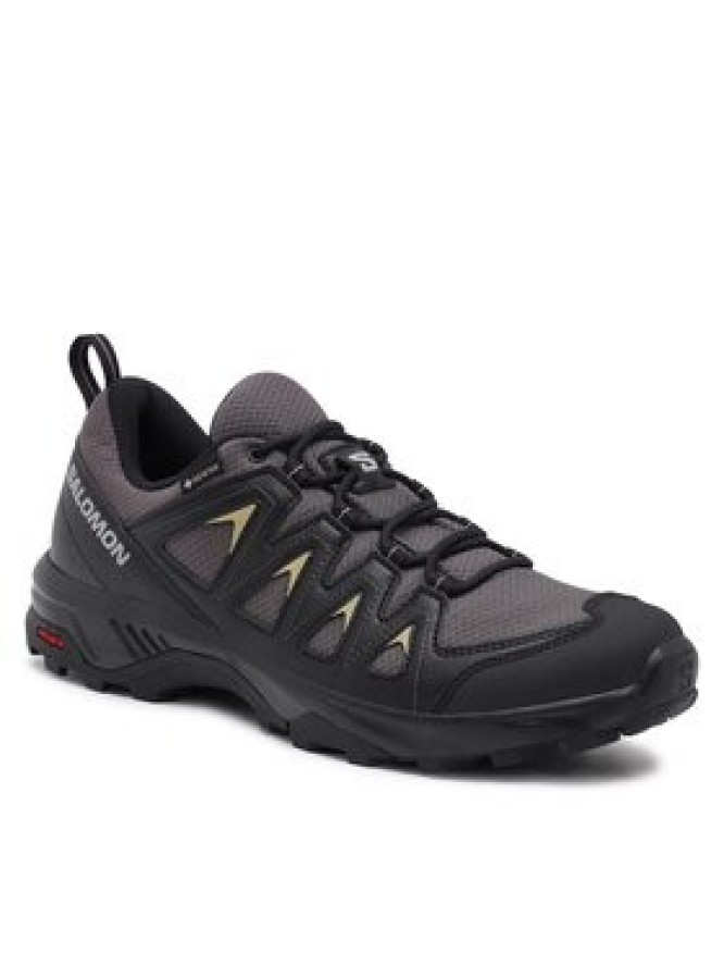 Salomon Trekkingi X Braze GORE-TEX L47180500 Szary