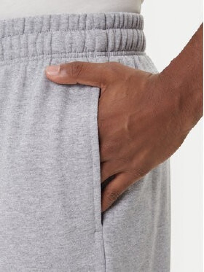 The North Face Spodnie dresowe Expedition Celebration NF0A8E3E Szary Relaxed Fit