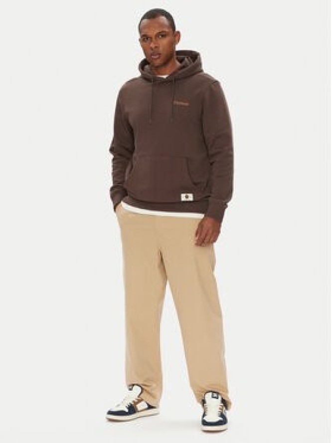 DC Shoes Chinosy Worker Baggy ADYNP03097 Beżowy Baggy Fit