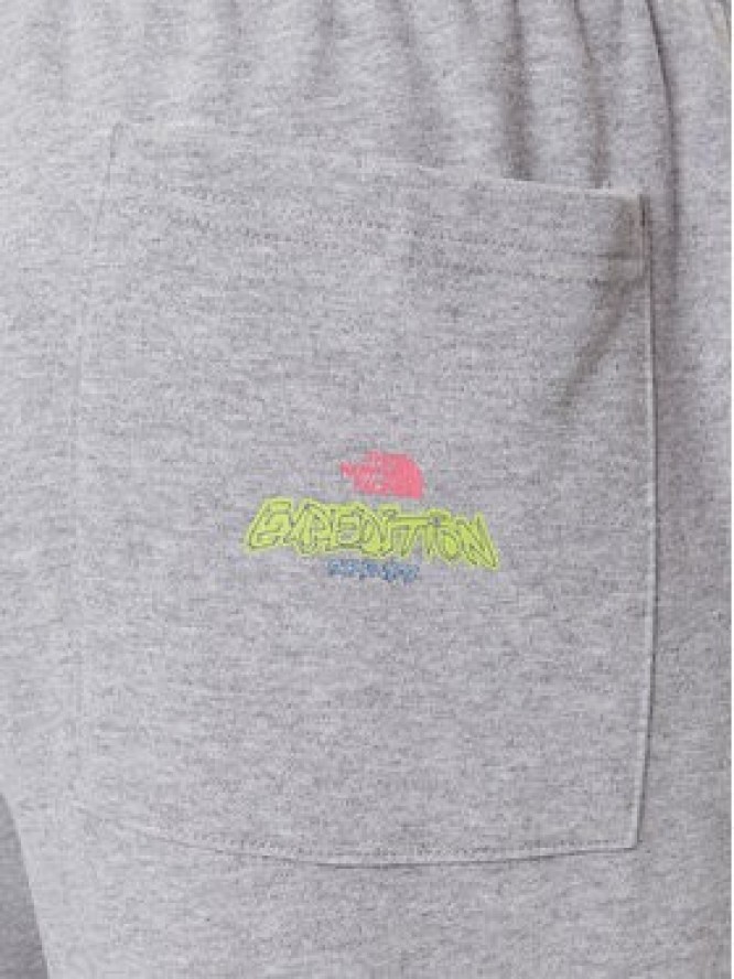 The North Face Spodnie dresowe Expedition Celebration NF0A8E3E Szary Relaxed Fit