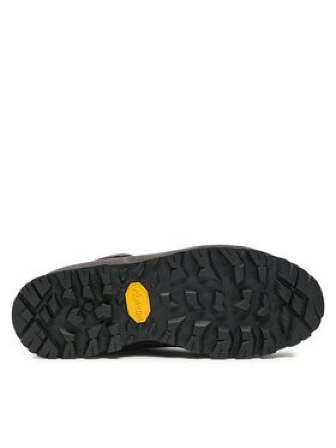 Zamberlan Trekkingi 900 Rolle Evo Gtx GORE-TEX Szary