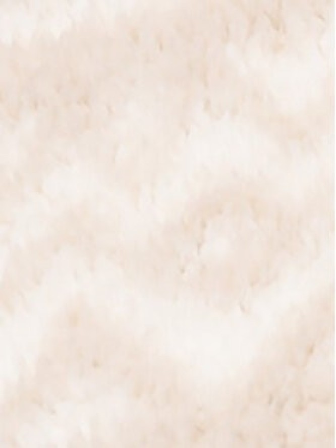 Columbia Polar Rugged Ridge™ 2135471 Beżowy Regular Fit