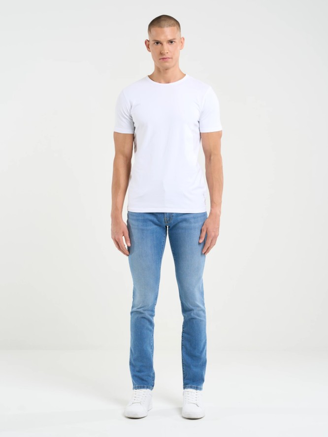 Jeansy męskie z przetarciami niebieskie Terry Carrot 133